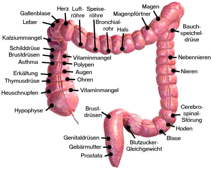 Express Darmreinigung